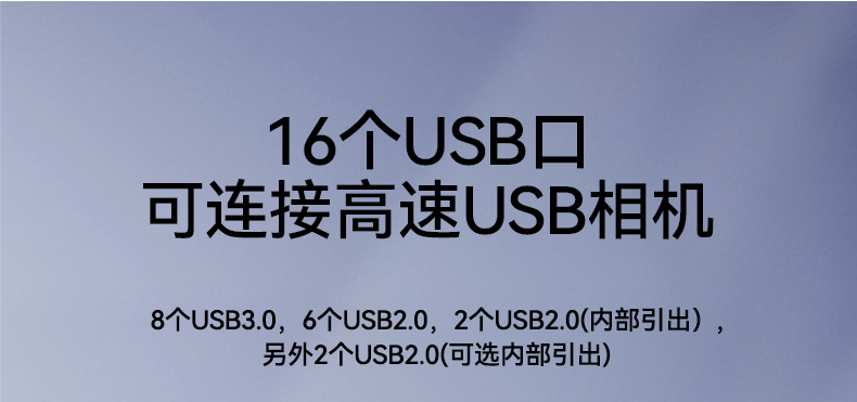 飛騰騰銳D2000國產(chǎn)化工控機(jī),銀河麒麟/UOS雙系統(tǒng),機(jī)器視覺控制主機(jī),DTB-2102L-FD2KMC2.jpg