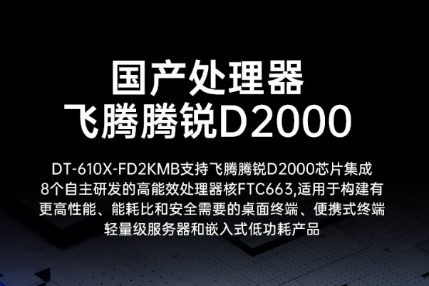 國產(chǎn)飛騰D2000處理器芯片.png